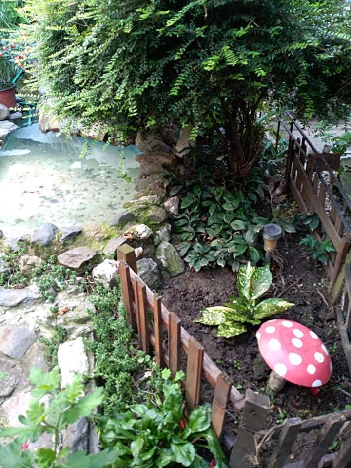 Apartman Vrdnicak Vrdnik Exteriér fotografie