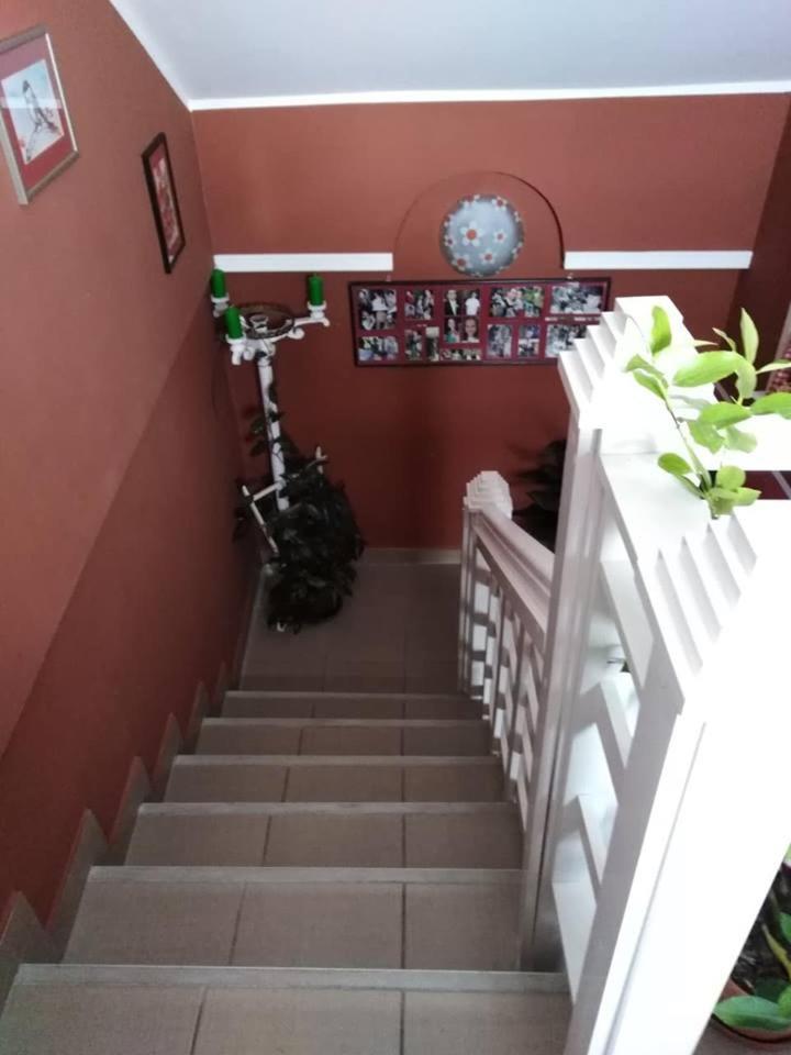 Apartman Vrdnicak Vrdnik Exteriér fotografie