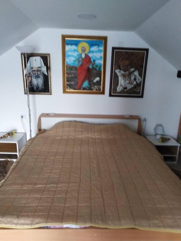 Apartman Vrdnicak Vrdnik Exteriér fotografie
